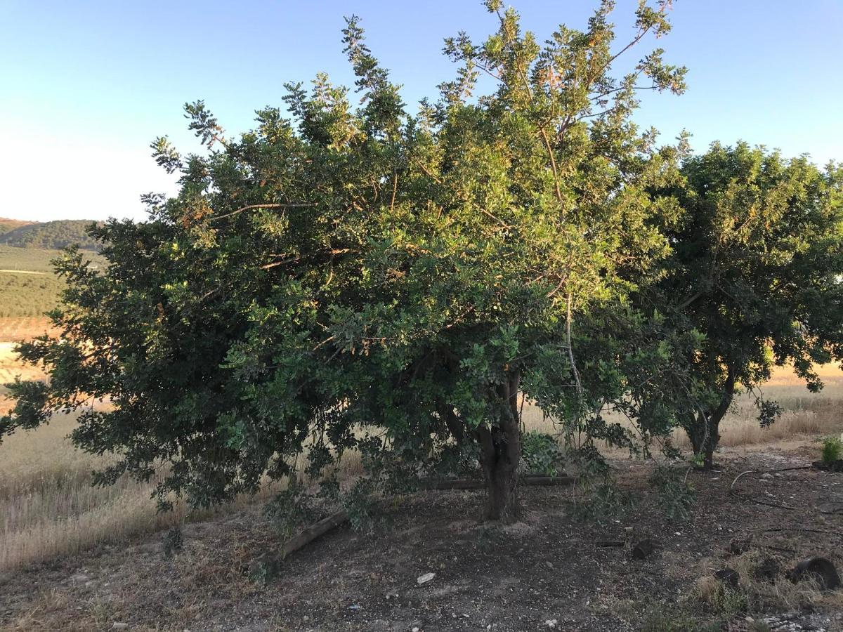 Cortijo Vista Alegre Villa Фуенте де Пиедра Екстериор снимка